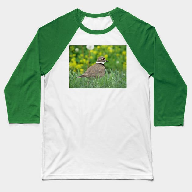 Killdeer Bird in a Field of Flowers Baseball T-Shirt by StormFroggo